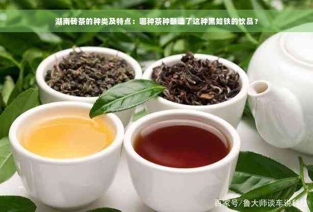 湖南砖茶的种类及特点：哪种茶种酿造了这种黑如铁的饮品？