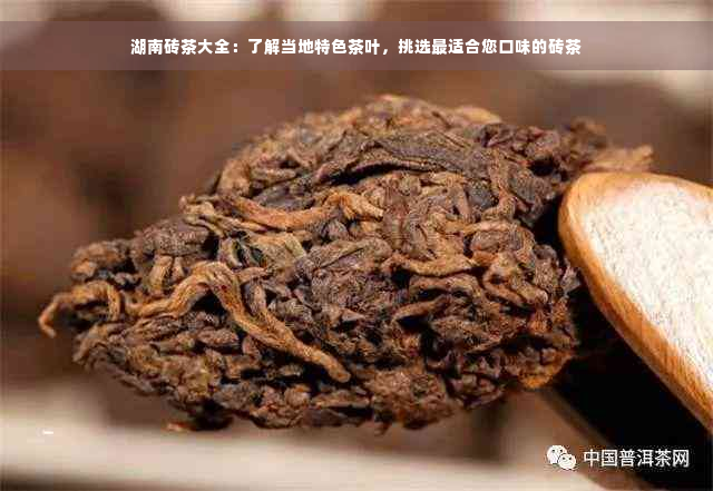 湖南砖茶大全：了解当地特色茶叶，挑选最适合您口味的砖茶