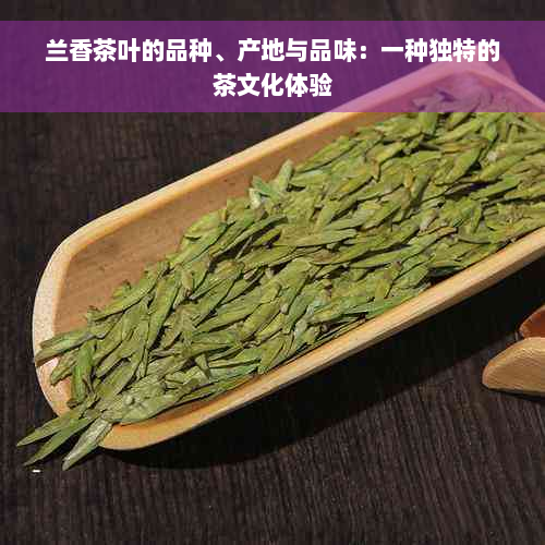 兰香茶叶的品种、产地与品味：一种独特的茶文化体验