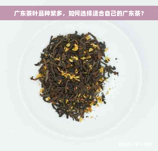 广东茶叶品种繁多，如何选择适合自己的广东茶？