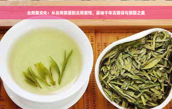 北苑茶文化：从北苑茶录到北苑茶馆，品味千年古茶诗与茶园之美