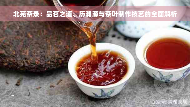 北苑茶录：品茗之道、历渊源与茶叶制作技艺的全面解析