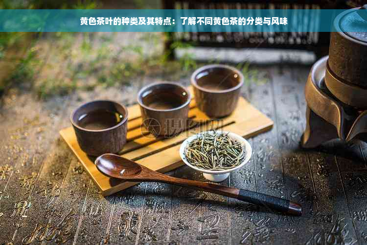 黄色茶叶的种类及其特点：了解不同黄色茶的分类与风味