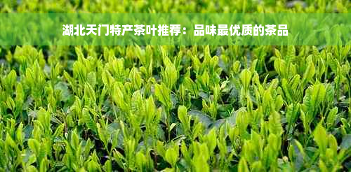 湖北天门特产茶叶推荐：品味更优质的茶品