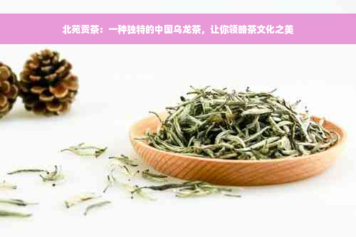 北苑贡茶：一种独特的中国乌龙茶，让你领略茶文化之美