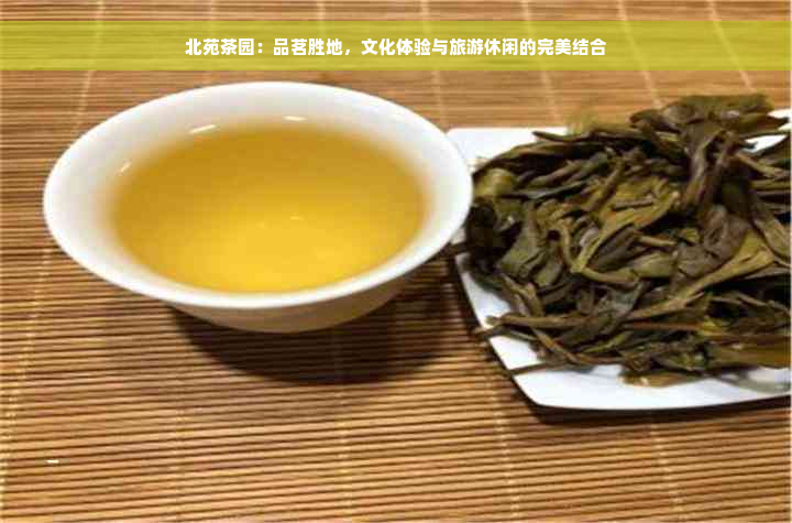 北苑茶园：品茗胜地，文化体验与旅游休闲的完美结合