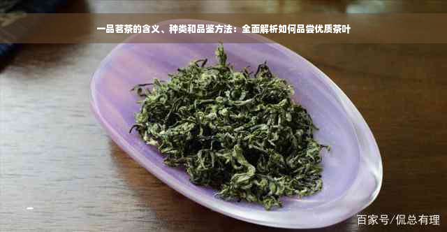 一品茗茶的含义、种类和品鉴方法：全面解析如何品尝优质茶叶