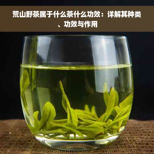 荒山野茶属于什么茶什么功效：详解其种类、功效与作用