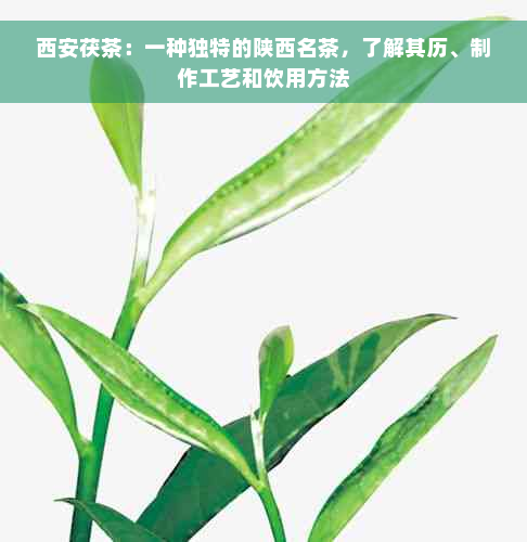 西安茯茶：一种独特的陕西名茶，了解其历、制作工艺和饮用方法