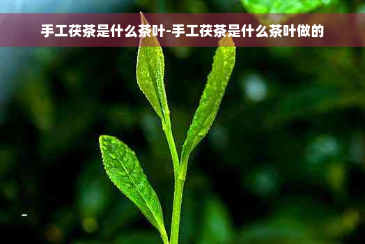 手工茯茶是什么茶叶-手工茯茶是什么茶叶做的