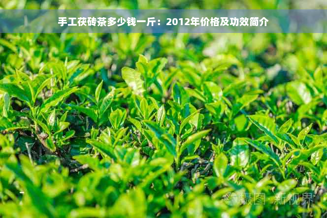 手工茯砖茶多少钱一斤：2012年价格及功效简介