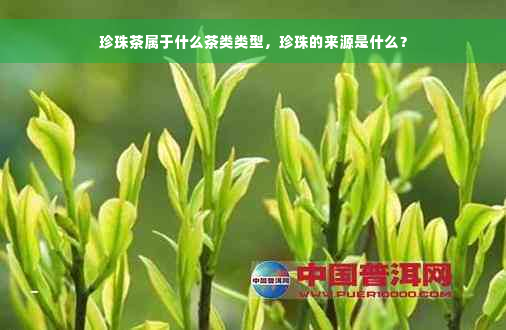 珍珠茶属于什么茶类类型，珍珠的来源是什么？