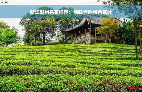 浙江湖州名茶推荐：品味当地特色茶叶