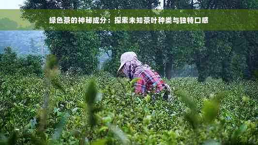 绿色茶的神秘成分：探索未知茶叶种类与独特口感