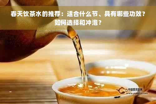 春天饮茶水的推荐：适合什么节、具有哪些功效？如何选择和冲泡？