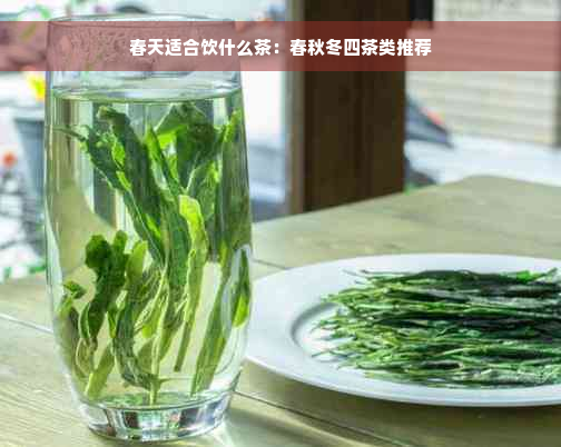 春天适合饮什么茶：春秋冬四茶类推荐