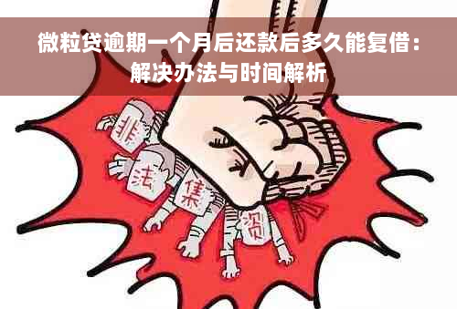 微粒贷逾期一个月后还款后多久能复借：解决办法与时间解析