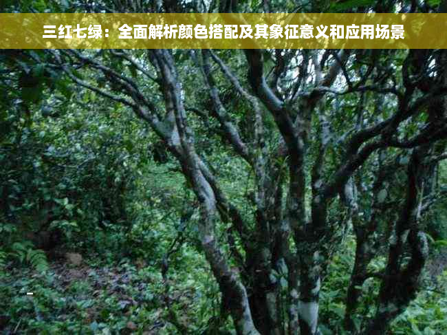 三红七绿：全面解析颜色搭配及其象征意义和应用场景