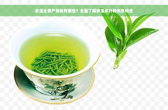 安溪主要产茶类有哪些？全面了解安溪茶叶种类及特点