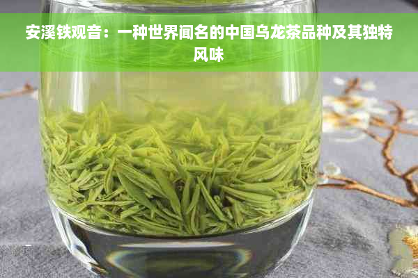 安溪铁观音：一种世界闻名的中国乌龙茶品种及其独特风味