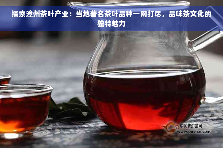 探索漳州茶叶产业：当地著名茶叶品种一网打尽，品味茶文化的独特魅力