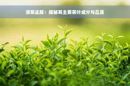 清茶送服：揭秘其主要茶叶成分与品质