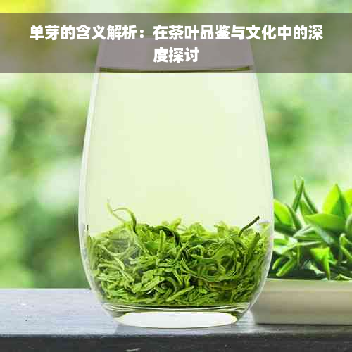 单芽的含义解析：在茶叶品鉴与文化中的深度探讨