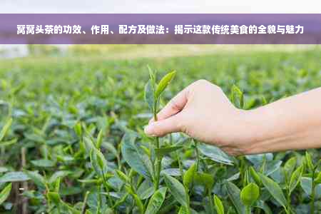 窝窝头茶的功效、作用、配方及做法：揭示这款传统美食的全貌与魅力