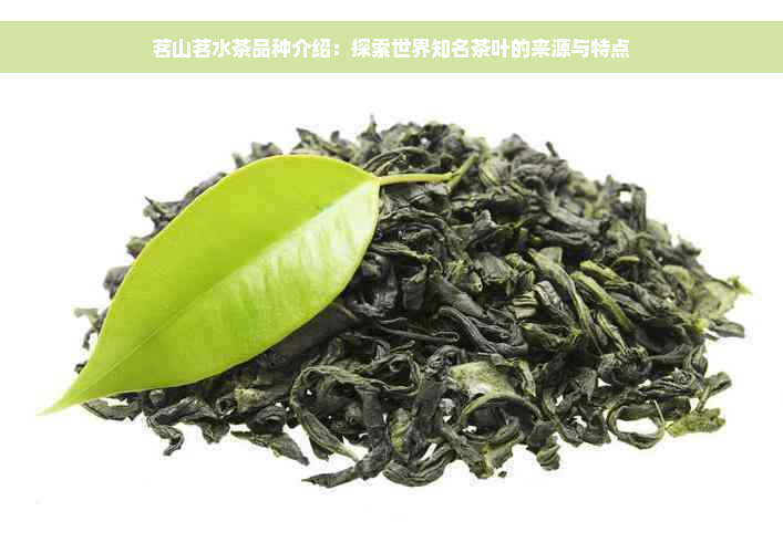 茗山茗水茶品种介绍：探索世界知名茶叶的来源与特点