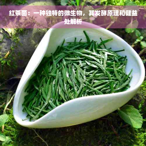 红茶菌：一种独特的微生物，其发酵原理和健益处解析