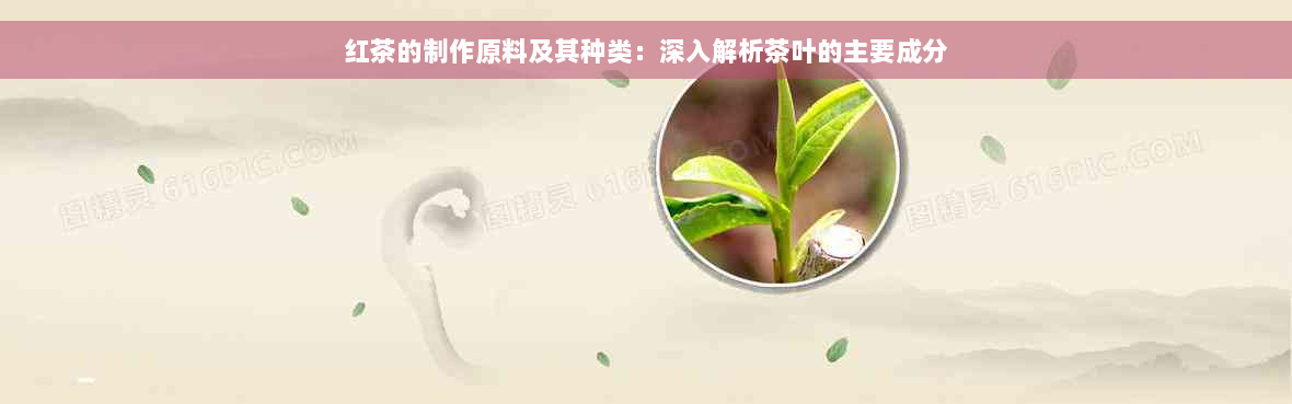 红茶的制作原料及其种类：深入解析茶叶的主要成分