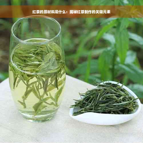 红茶的原材料是什么：揭秘红茶制作的关键元素