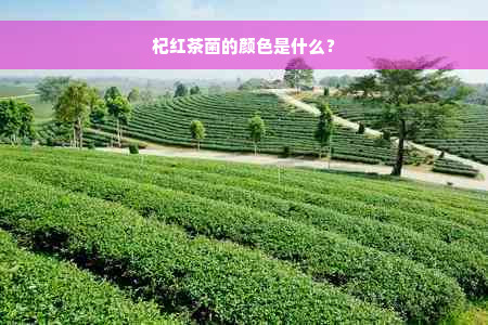 杞红茶菌的颜色是什么？