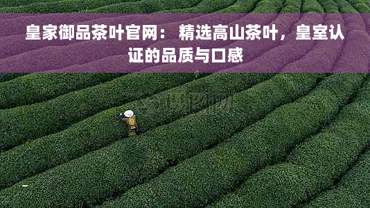 皇家御品茶叶官网： 精选高山茶叶，皇室认证的品质与口感