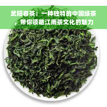 武阳春茶：一种独特的中国绿茶，带你领略江南茶文化的魅力