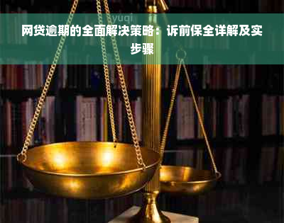 网贷逾期的全面解决策略：诉前保全详解及实步骤