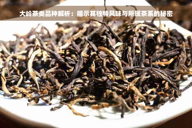 大岭茶类品种解析：揭示其独特风味与所属茶系的秘密