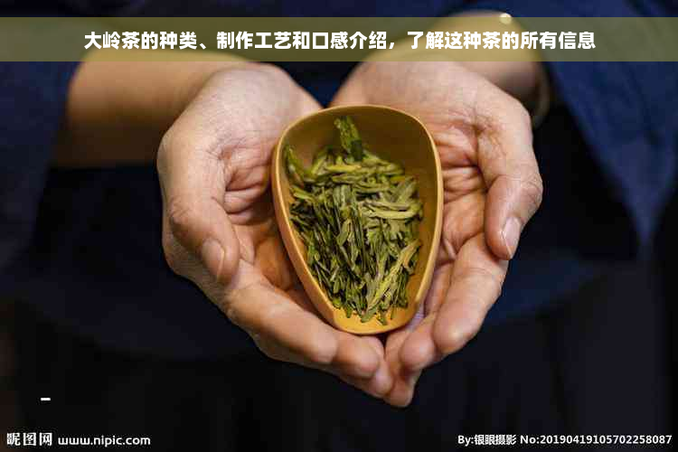 大岭茶的种类、制作工艺和口感介绍，了解这种茶的所有信息