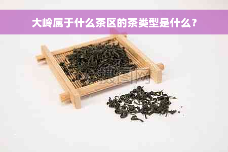 大岭属于什么茶区的茶类型是什么？