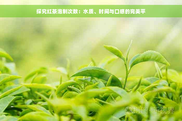 探究红茶泡制次数：水质、时间与口感的完美平