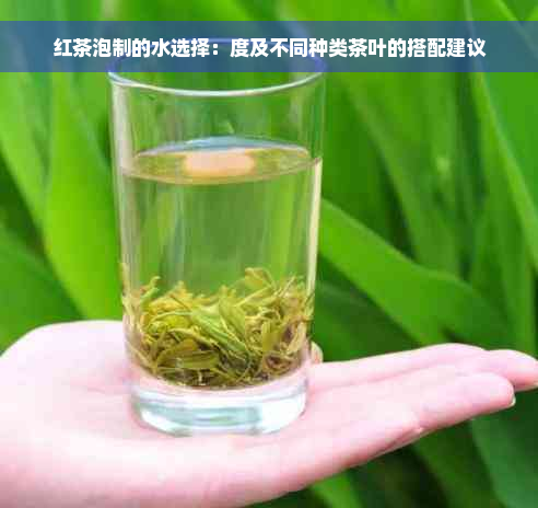 红茶泡制的水选择：度及不同种类茶叶的搭配建议