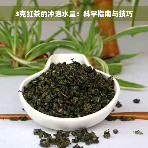 3克红茶的冲泡水量：科学指南与技巧