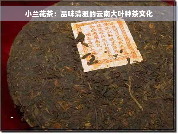 小兰花茶：品味清雅的云南大叶种茶文化