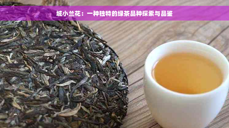 城小兰花：一种独特的绿茶品种探索与品鉴