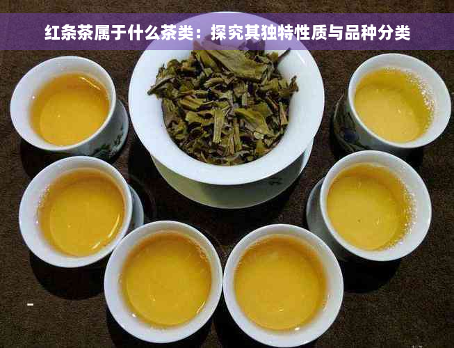 红条茶属于什么茶类：探究其独特性质与品种分类