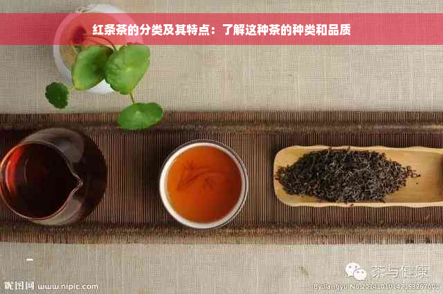 红条茶的分类及其特点：了解这种茶的种类和品质