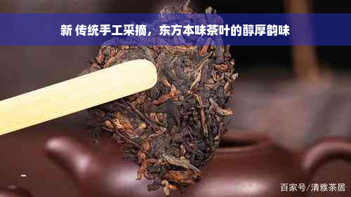 新 传统手工采摘，东方本味茶叶的醇厚韵味