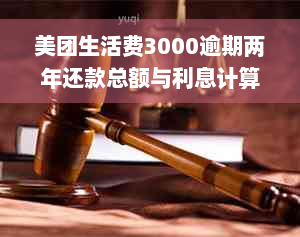 美团生活费3000逾期两年还款总额与利息计算