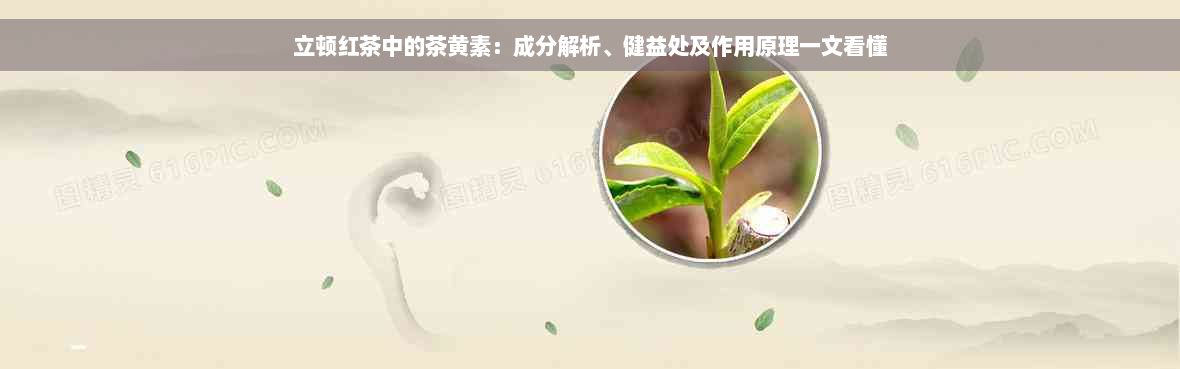 立顿红茶中的茶黄素：成分解析、健益处及作用原理一文看懂