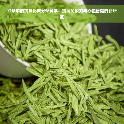 红茶中的抗氧化成分茶黄素：提高免疫力与心血管健的新研究